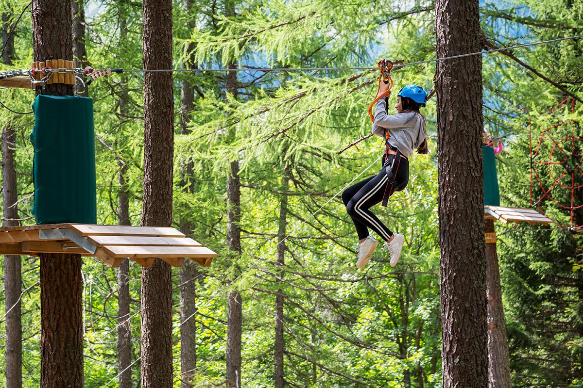 flying fox